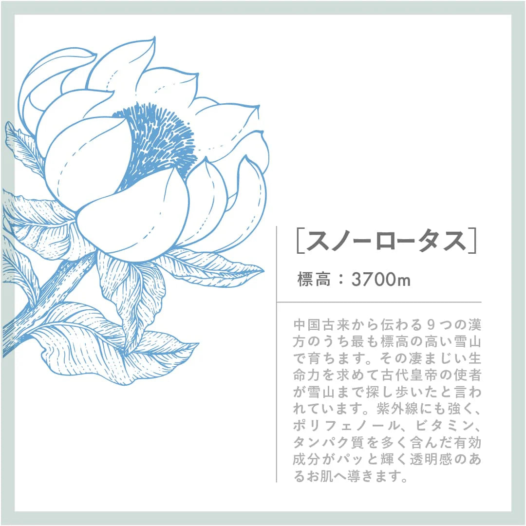 スノーホワイトモイストクリーム スノーロータス