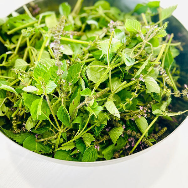 ボタニカノン　ホーリーバジル化粧水　150ml