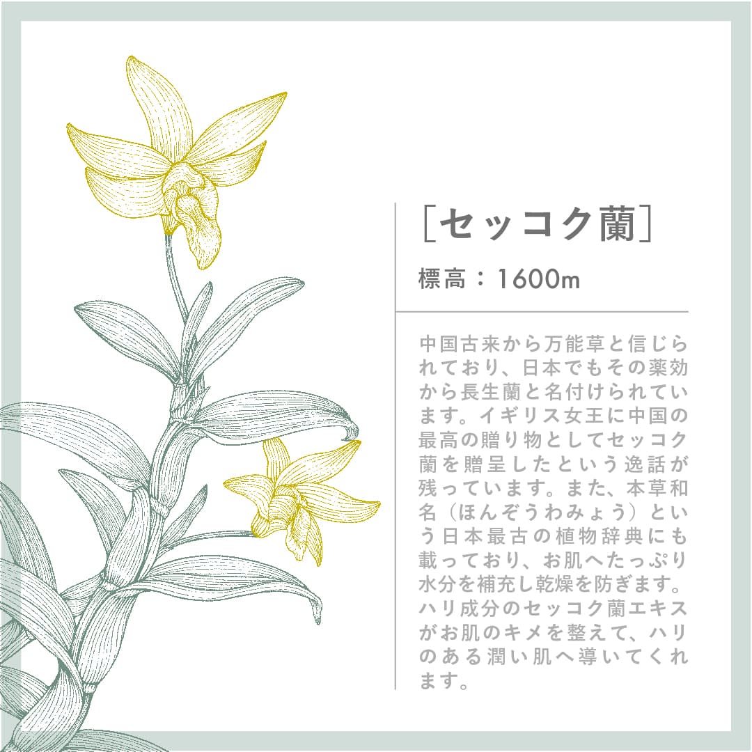 エイジケアうるおいプレ化粧水 セッコク蘭