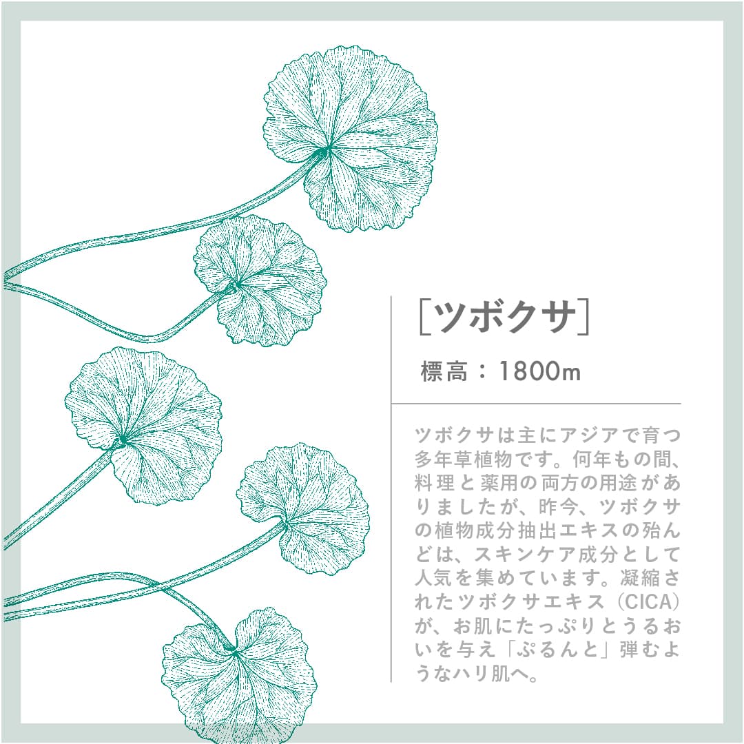 CICAモイストスムーズマスク