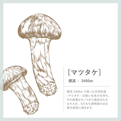 マツタケクリア フレッシュミルク